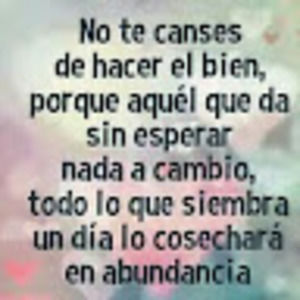 Meet your Posher, Carlos andrés